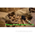 beste service walnoot kernels lichte stukken